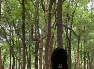 911吃瓜的导航，带你深入那些“瓜”的背后，真是别有洞天！