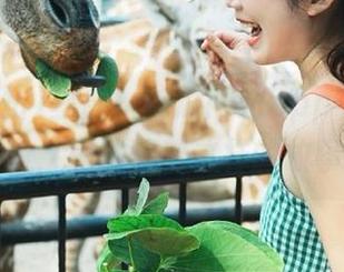 暴雷！吃瓜网站app中的视频黑料，居然藏着这样的故事！